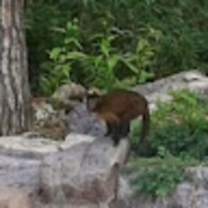 Meet your Posher, Rebecka